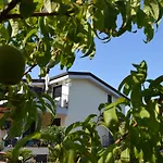 La Maison Di Sara Bed & Breakfast Santa Maria La Carità
